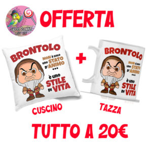 cuscino + tazza brontolo